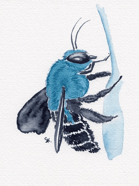 Bleubeille