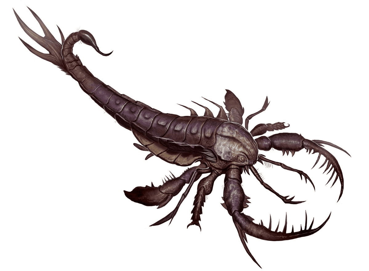 Gargosis