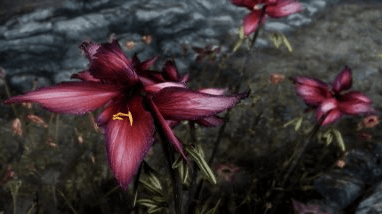 Obscurcine